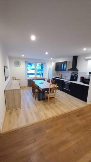 Appartement lumineux avec balcon Gérardmer